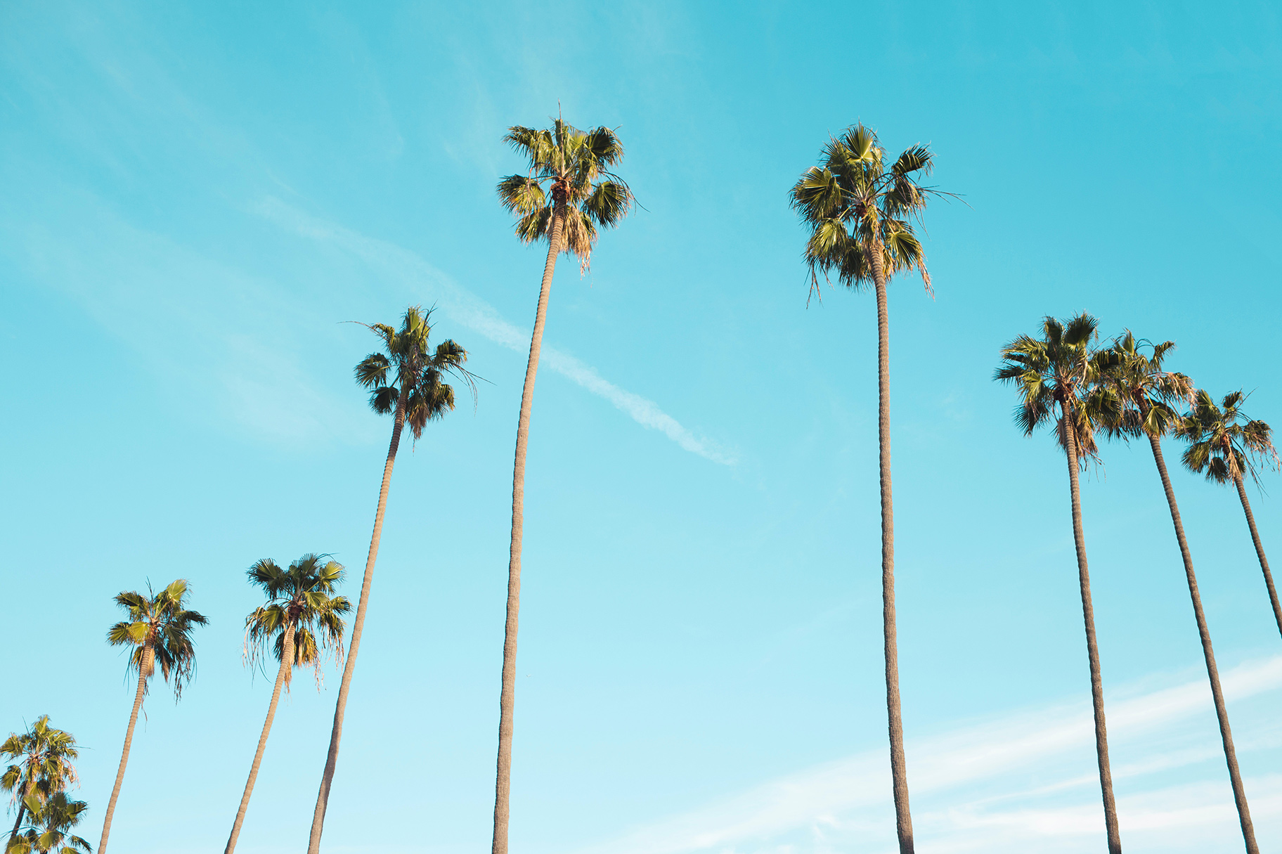 Photo by Jacob Repko on Unsplash
